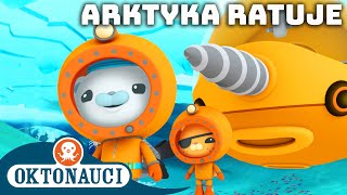 Oktonauci  🐻‍❄️ Arktyka ratuje ⛑️  Kompilacja  Całe odcinki [upl. by Enomal]