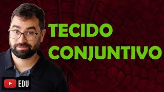 Tecido Conjuntivo  Aula 04  Módulo VII Fisiologia Humana  Prof Gui [upl. by Sandie]