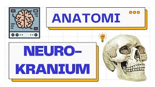 Anatomi Neurokranium Calvaria amp Basis Cranii  Anatomy 101 [upl. by Chien417]