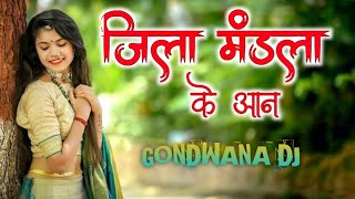 जिला मंडला के आन  NEW CG GONDWANA REMIX  GONDWANA DJ 2024 MIX [upl. by Renat]