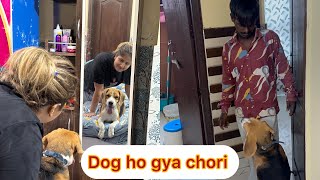 Dog ho gya chori 😱 [upl. by Rockefeller969]