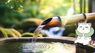 Shishi Odoshi Relaxing Zen Music with Water Sounds • Peaceful Ambience for Spa Yoga and Relaxation [upl. by Cutlor]