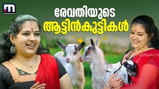 രേവതിയുടെ ആട്ടിന്‍കുട്ടികള്‍ ആടു കൃഷി ലാഭകരമാക്കാം  Krishibhoomi  Goat Farming  Mathrubhumi News [upl. by Rex965]