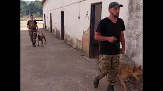 Dog Handler Training at Milites Dei Academy [upl. by Dicky611]