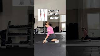 ✅Prevent SHIN SPLINTS with this stretch for anterior tibialis stretching running [upl. by Eseila21]