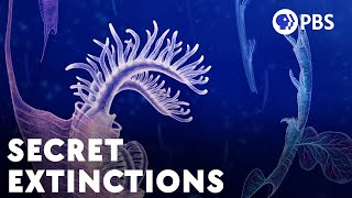 The Huge Extinctions We Are Just Now Discovering [upl. by Mossolb]