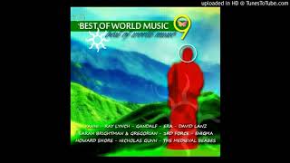 Gravity Of Love  Enigma Track 10 BEST OF WORLD MUSIC 9 [upl. by Azilanna]