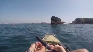 Fishing Peniche Portugal [upl. by Sirdna261]