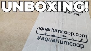 Aquarium CoOp Unboxing [upl. by Shaw]