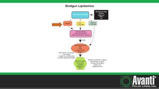 Mass Spectrometric Approaches to Lipidomic Studies [upl. by Burdelle]