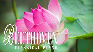 Beethoven  11 Bagatelles op 119 no 1 [upl. by Edobalo]