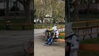 Vienna live  shorts reallife wien streetmusic [upl. by Londoner507]