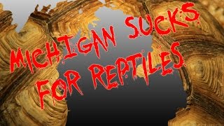 Michigan Sucks For Reptiles SnakeHuntersTV [upl. by Nuahsyd]