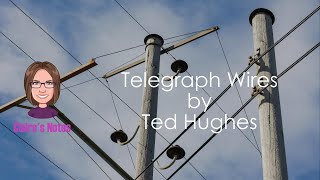 Telegraph Wires by Ted Hughes Linebyline analysis [upl. by Micheal]