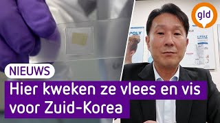 KOREANEN willen WAGENINGS KWEEKVLEES [upl. by Nnawtna212]