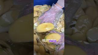 INTIPP‼️ PROSES BUAT KRIPIK MANGGA🥭‼️REMAJA SUKSES OMSET JUTAAN HARI HANYA DENGAN BISNIS ONLINE💸 [upl. by Walling]