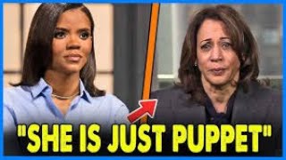 Mr Zac Reacts Live Candice Owens x Kamala Harris Surfing Youtube [upl. by Lenahs309]