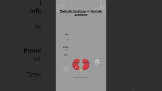 Nephrotic Syndrome vs Nephritic Syndrome [upl. by Vittorio384]