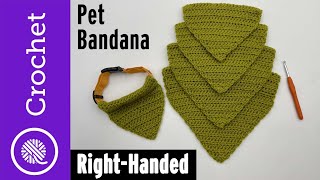 Crochet Pet Bandana [upl. by Nylirehs]