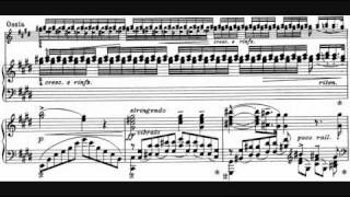 Liszt  Sonetto 104 del Petrarca S 161 No 5 André Laplante [upl. by Floria]