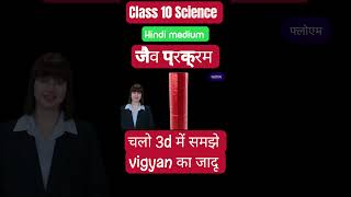 जैव प्रक्रम  life process  class 10 Science sciencexplorero ncert [upl. by Dorothi]