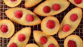 Financiers Recipe Demonstration  Joyofbakingcom [upl. by Ahseihs]