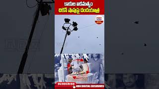 Ambedkar Konaseema  కాకుల ఐకమత్యం చికెన్ షాపుపై దండయాత్ర  Crows chickenshop abndigital [upl. by Marcos]