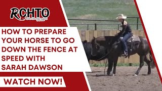 How To Prepare Your Horse To Go Down The Fence At Speed With Sarah Dawson [upl. by Emily]