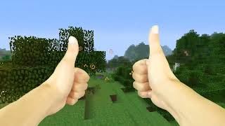 REALISTIC MINECRAFT IN REAL LIFE  IRL Minecraft Animations  In Real Life Minecraft Animations [upl. by Worra]