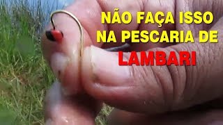 Pescaria de lambari  Veja como pescar lambari na miçanga mas use um anzol menor para lambari [upl. by Evy]