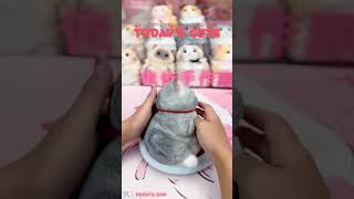 Cute little kittyit feels so good to pinchdo you want one 💛cat diy squishy kitty gift [upl. by Aslehc]