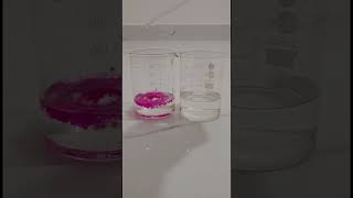 phenolphthalein indicator with acid and base trending viral education science chemistry shorts [upl. by Endo]