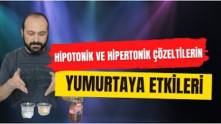 Hipertonik ve Hipotonik Çözeltilerin Yumurtaya Etkisi Lise ve Ortaokul Deneyleri Kurtuluş ATLI [upl. by Einaffit]