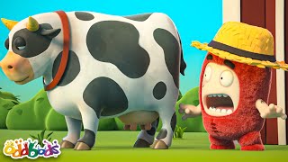 Le Cowboy  1h30 de Oddbods Français  Dessin Animé en Français [upl. by Scholem682]