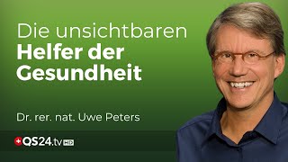 Entsäuerung amp Entgiftung Wie bioidentische Enzyme unser Leben verändern können  Naturmedizin QS24 [upl. by Siusan164]