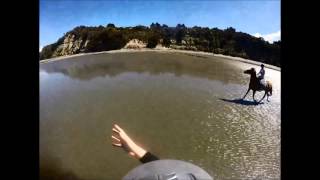 Helmet Camera Horses Galloping at Okura Beach New Zealand GoPro Hero 3 [upl. by Eilsew575]