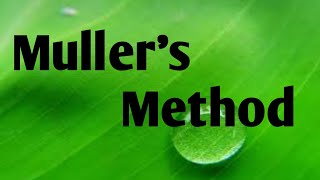 Mullers Method with example [upl. by Renferd]