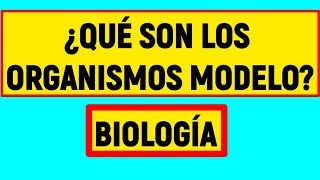 ORGANISMOS MODELO ¿Qué son Fácil y Rápido [upl. by Nref]