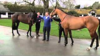 Gold Cup 2011 preview 12 Imperial Commander Long Run Kauto Star or Denman [upl. by Ainolloppa934]