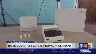 Rapid COVID test gets approval in Germany [upl. by Godred703]