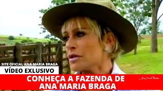 Ana Maria Braga bate a cabeça [upl. by Donoho628]