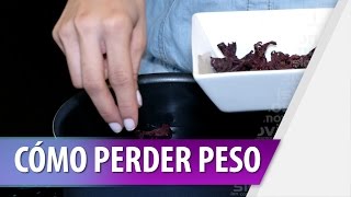 Cómo Perder Peso con Flor de Jamaica [upl. by Aneleiram]