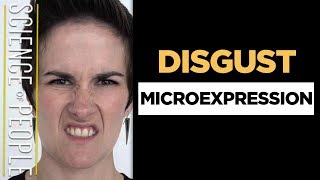 Disgust Microexpression  How To Read Facial Expressions [upl. by Enylodnewg]