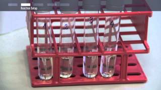 How to perform colony PCR [upl. by Kellene]