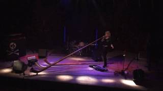 Eliana Burki  the funky Alphorn  move on up GaskesselBerne Switzerlandmp4 [upl. by Sacrod]