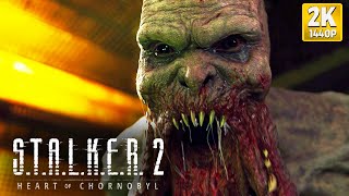 STALKER 2 Heart of Chornobyl  A Primeira Meia Hora PC2K [upl. by Frayne]