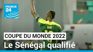 Le Sénégal qualifié pour la Coupe du monde 2022 au Qatar • FRANCE 24 [upl. by Georg]