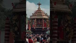 Nallur Murugan Temple SriLanka 🔱 🕉️ 🚩 Om Saravana Bhava 🙏🌺🌸🌹🌼🪷🌹🌺🌺 [upl. by Freed]