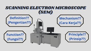 Scanning Electron Microscope SEM Indonesia English Definition  Function  Principle  Mechanism [upl. by Foss287]