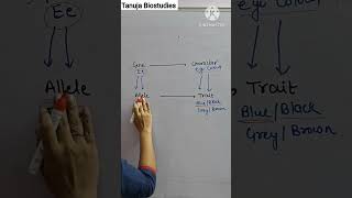 Difference between Gene Character Allele and Trait  Genetics  tanujabiostudies  shorts [upl. by Nrubliw]